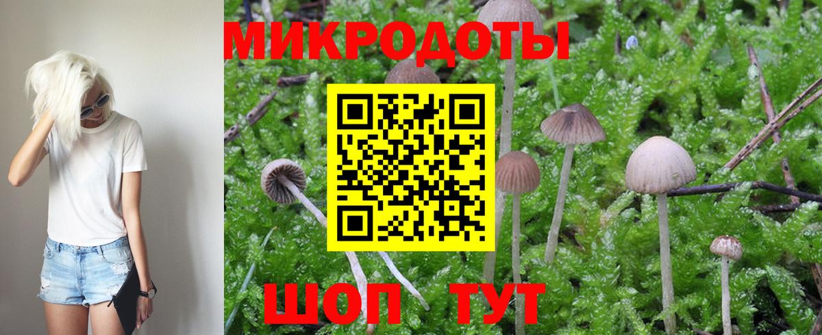 Псилоцибиновые грибы Psilocybe  Вход с VPN  закладка  Мариинск 