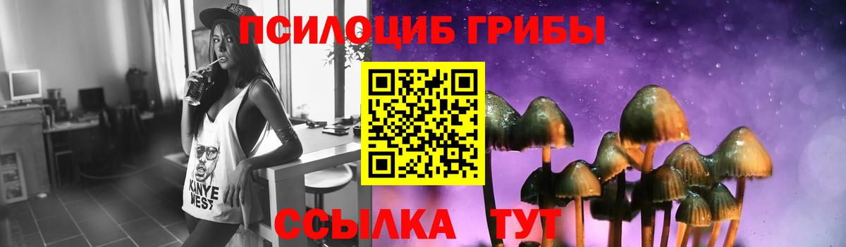 Псилоцибиновые грибы GOLDEN TEACHER Мариинск
